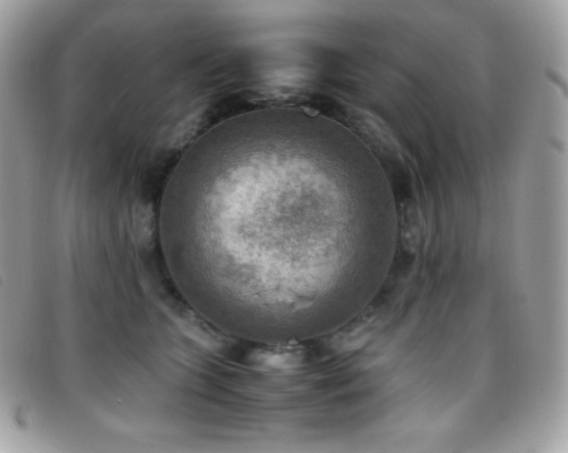X0000095890563200801111158