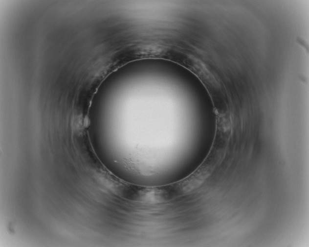 X0000095890564200801111158
