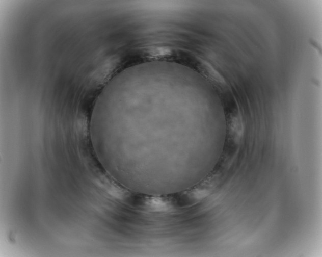 X0000095890565200801111158