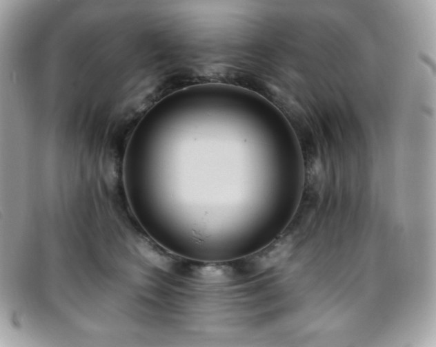 X0000095890566200801111158