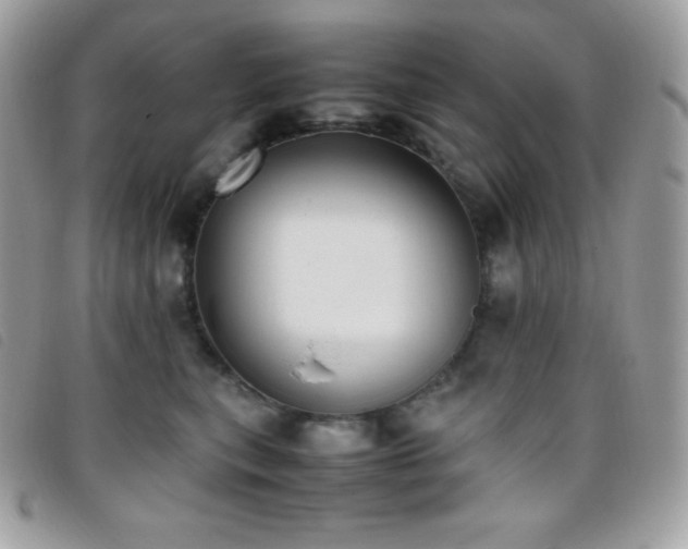 X0000095890567200801111158