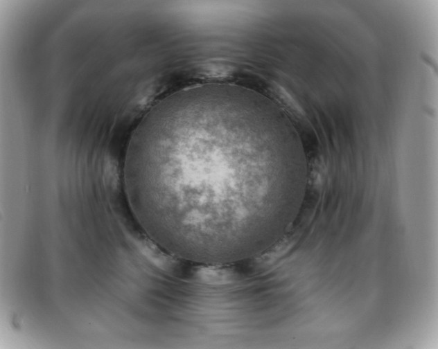 X0000095890568200801111158