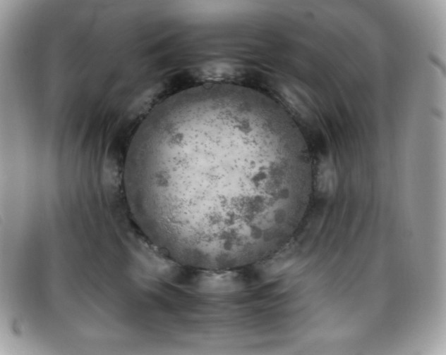 X0000095890569200801111158