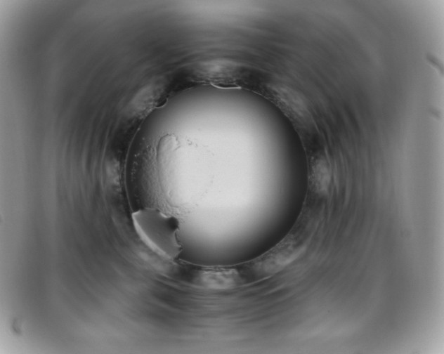 X0000095890571200801111158