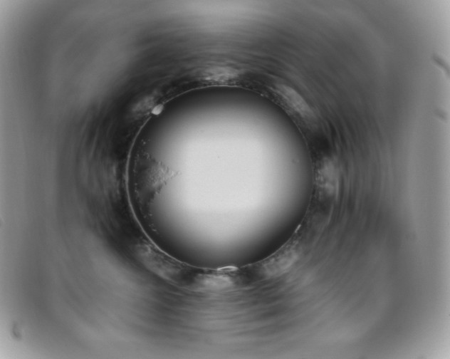 X0000095890572200801111158