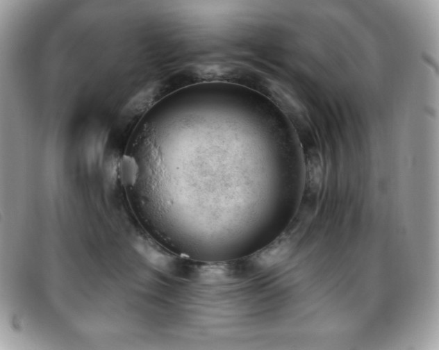 X0000095890574200801111158