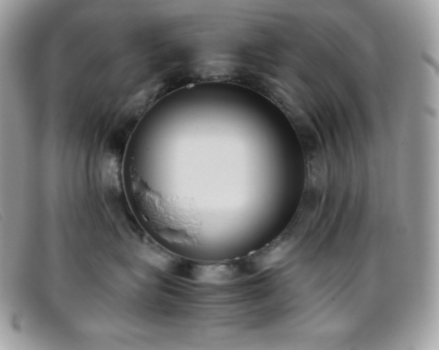 X0000095890575200801111158