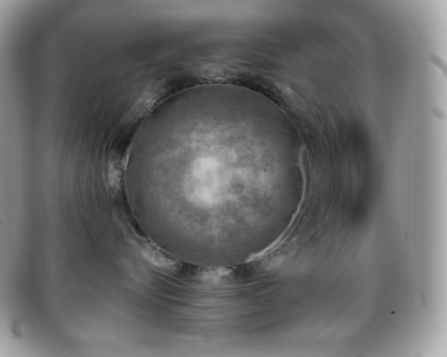 X0000095890576200801111158
