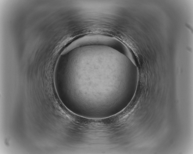 X0000095890577200801111157
