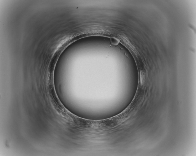 X0000095890579200801111157