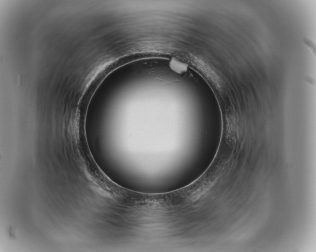 X0000095890580200801111157