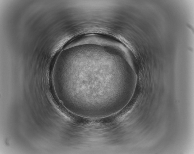 X0000095890581200801111157