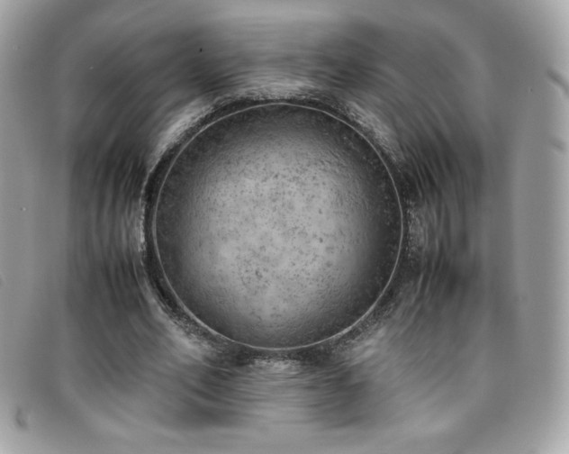 X0000095890582200801111157
