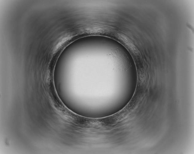 X0000095890583200801111157
