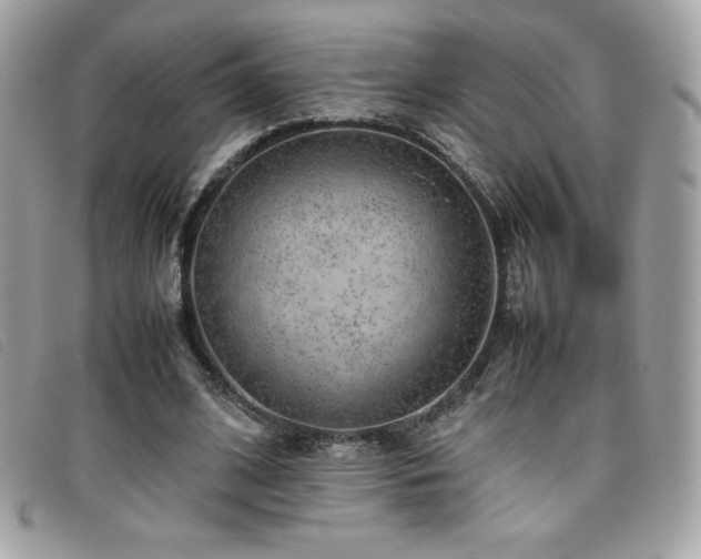 X0000095890584200801111157
