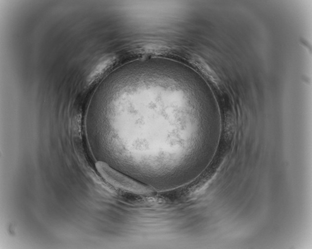 X0000095890585200801111157
