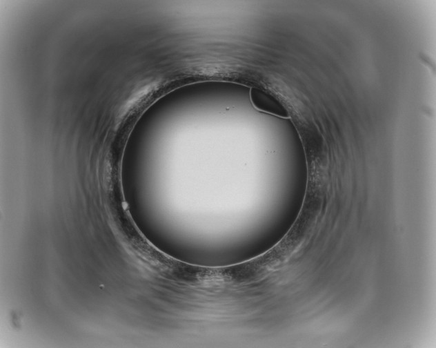 X0000095890587200801111157
