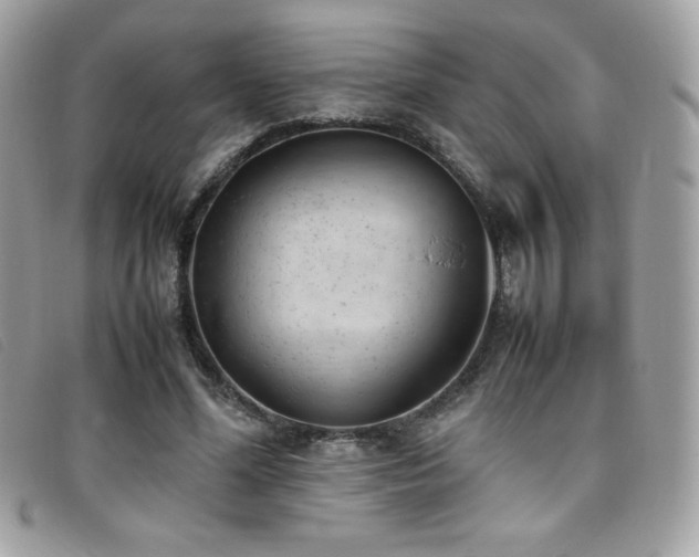 X0000095890588200801111157
