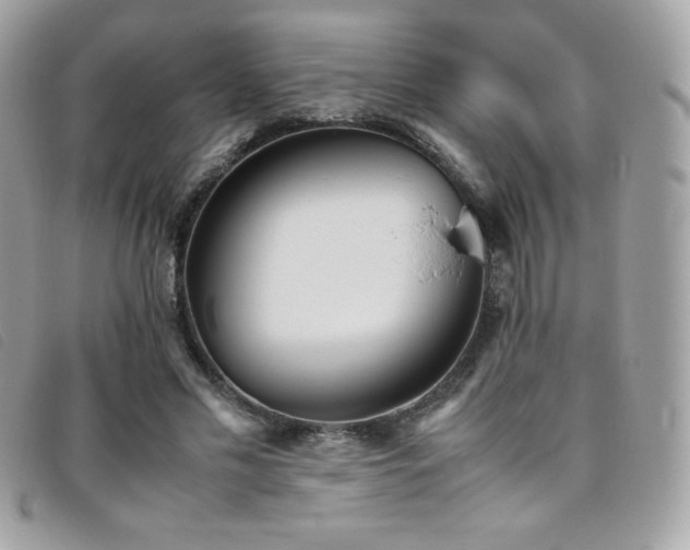 X0000095890589200801111157