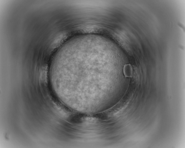 X0000095890590200801111157