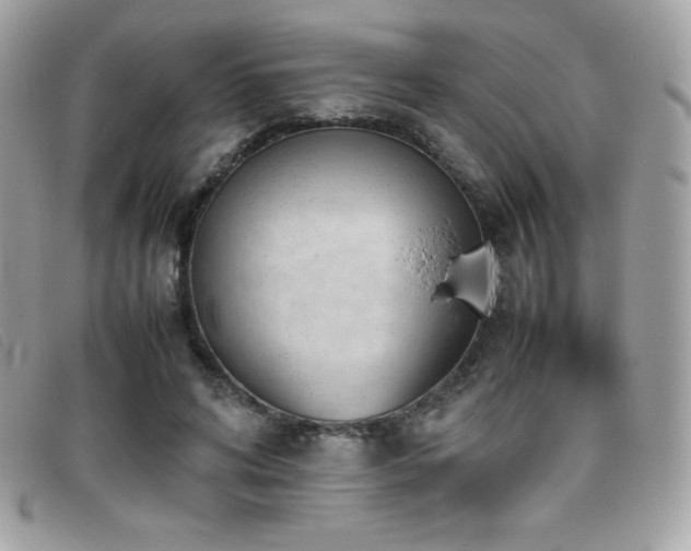 X0000095890592200801111157