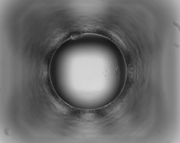 X0000095890593200801111157