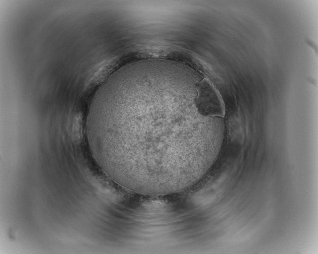 X0000095890594200801111157