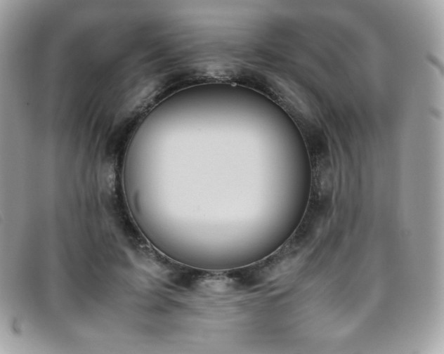 X0000095890595200801111157