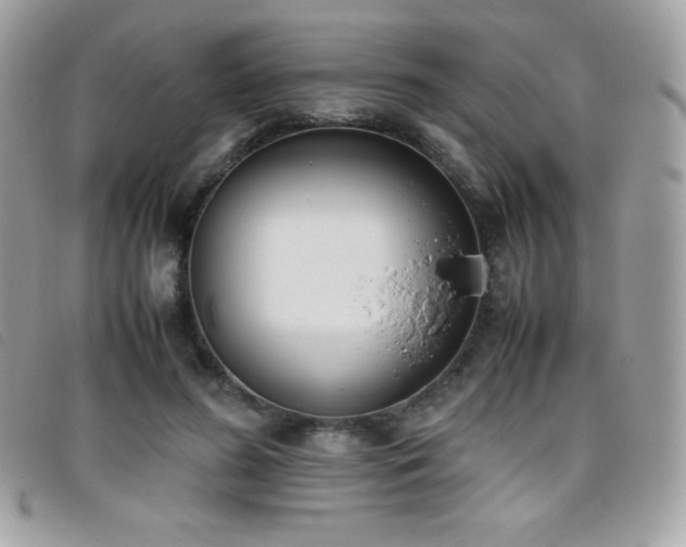 X0000095890596200801111157