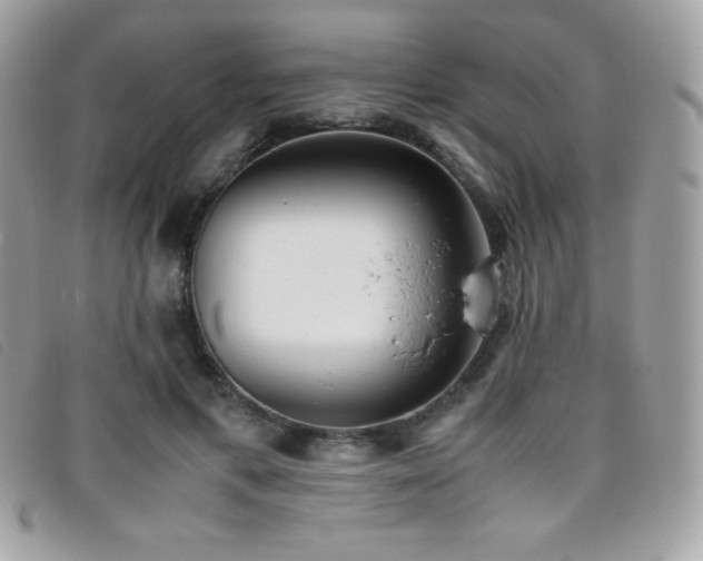 X0000095890597200801111157