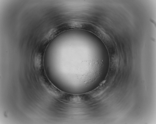 X0000095890600200801111157