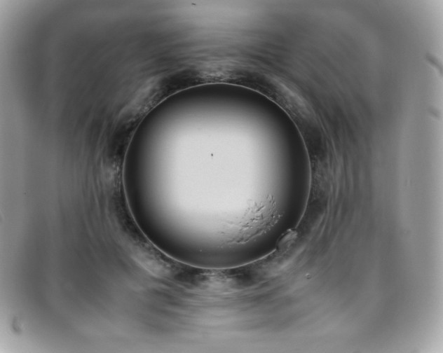 X0000095890601200801111157