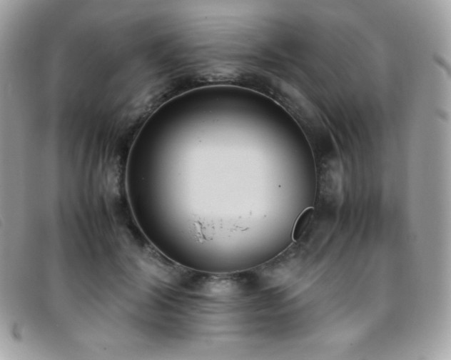X0000095890604200801111157