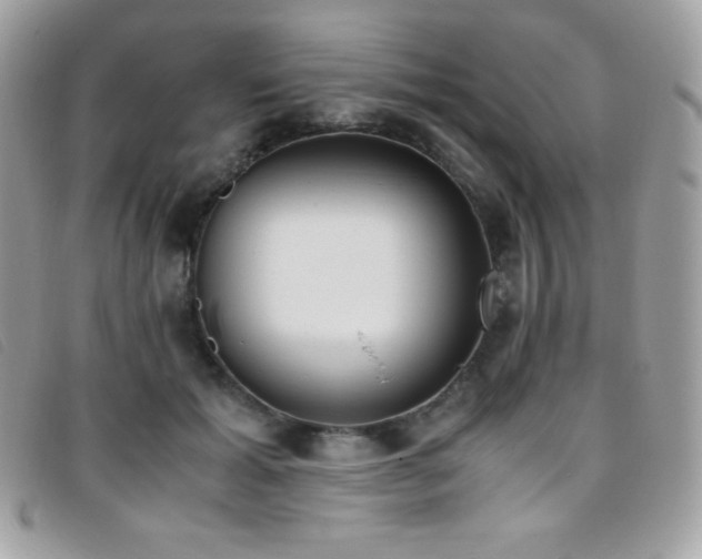 X0000095890605200801111157