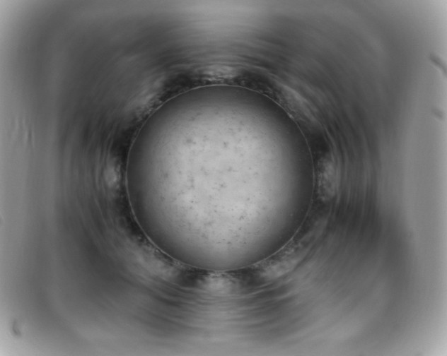 X0000095890608200801111157