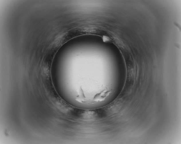 X0000095890609200801111157