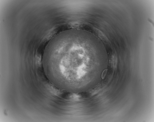 X0000095890610200801111157