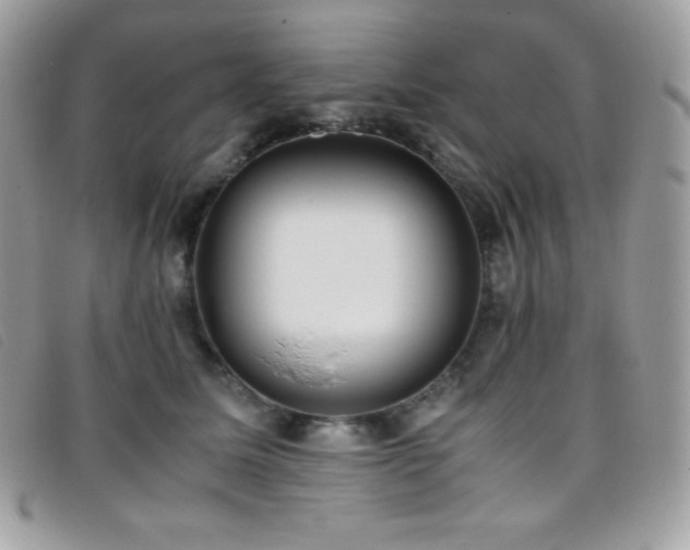 X0000095890611200801111157