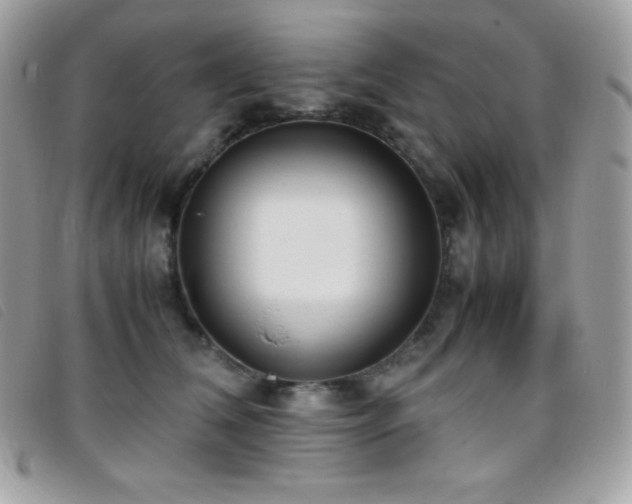X0000095890612200801111157