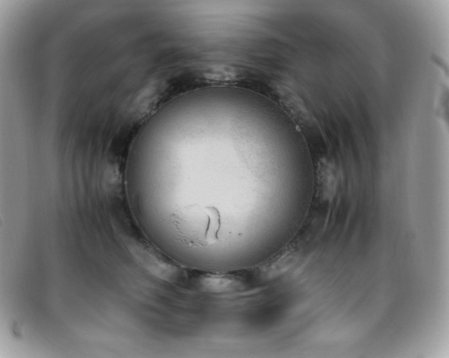 X0000095890614200801111157