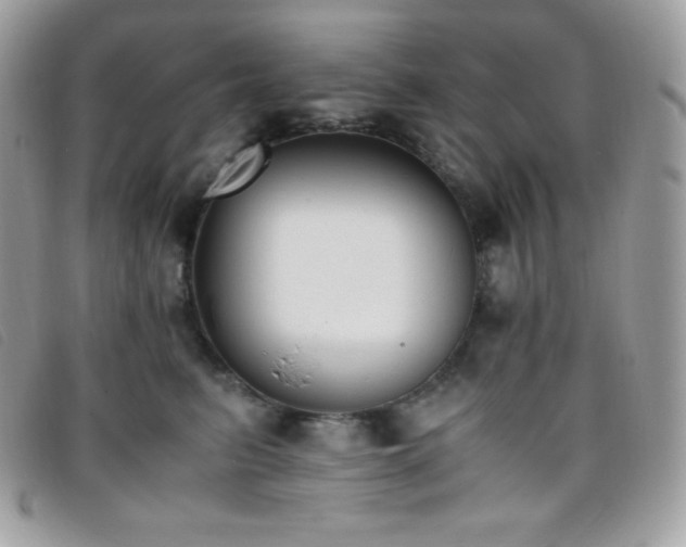 X0000095890615200801111157