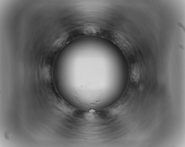 X0000095890616200801111157