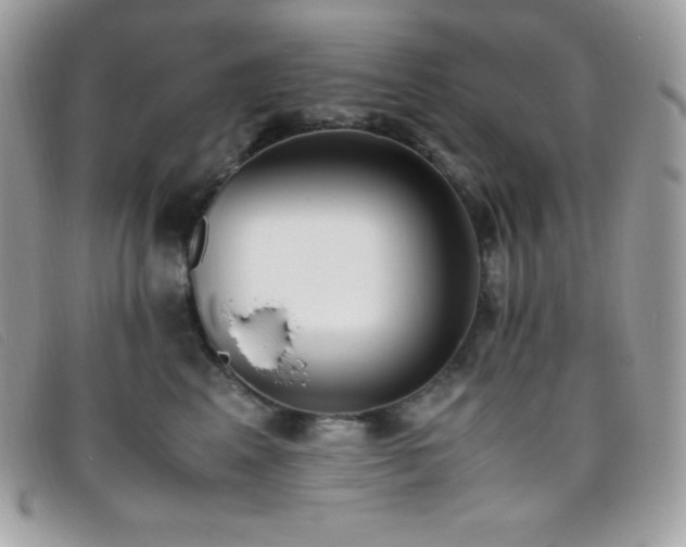 X0000095890617200801111157