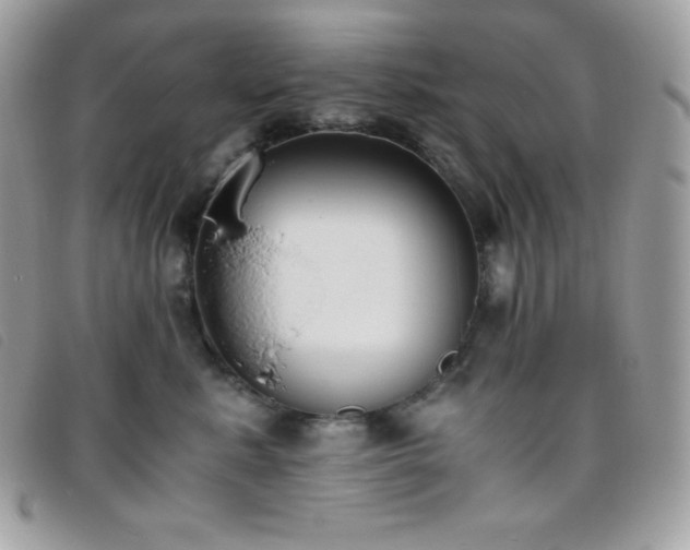 X0000095890619200801111157
