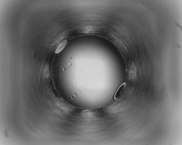 X0000095890620200801111157