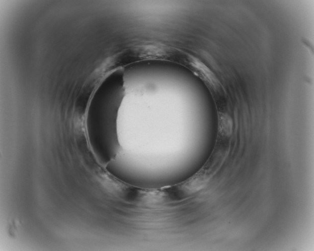 X0000095890621200801111157