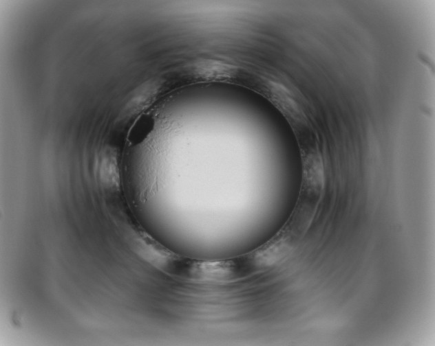 X0000095890622200801111157