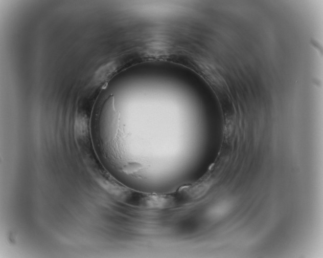 X0000095890623200801111157