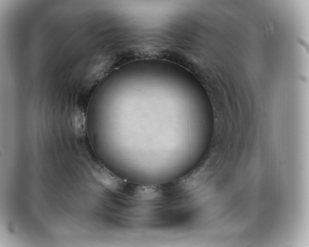 X0000095890624200801111157