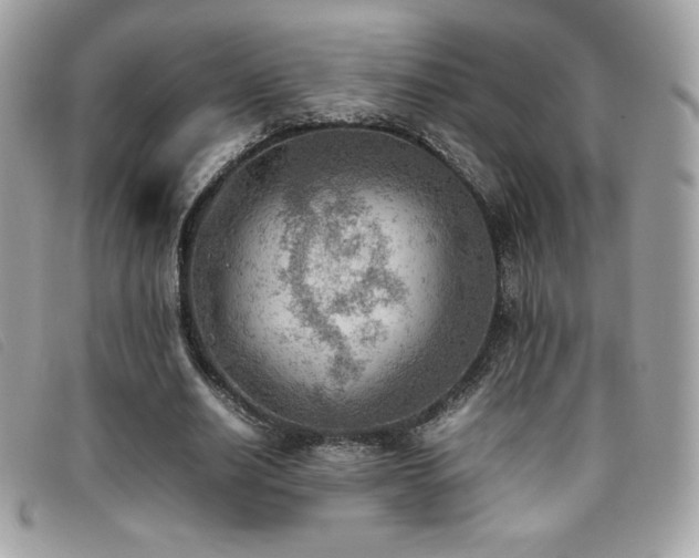X0000095890630200801111156